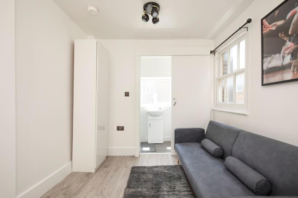 Spacious Serenity In The Heart Of Apartamento Londres